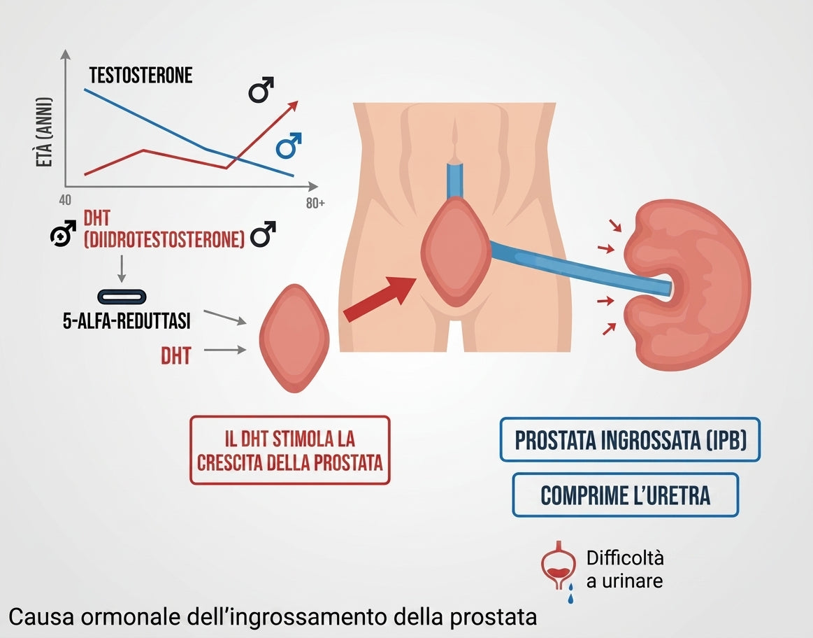 prosta_infografik_italienisch